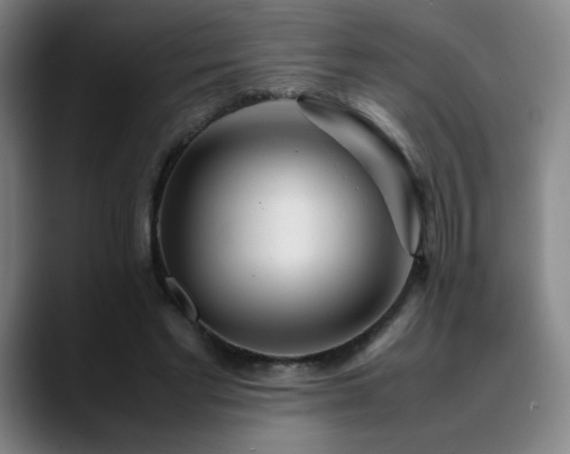 X0000090620493200707171438