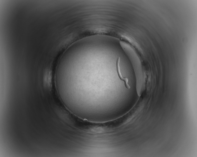 X0000090620494200707171438
