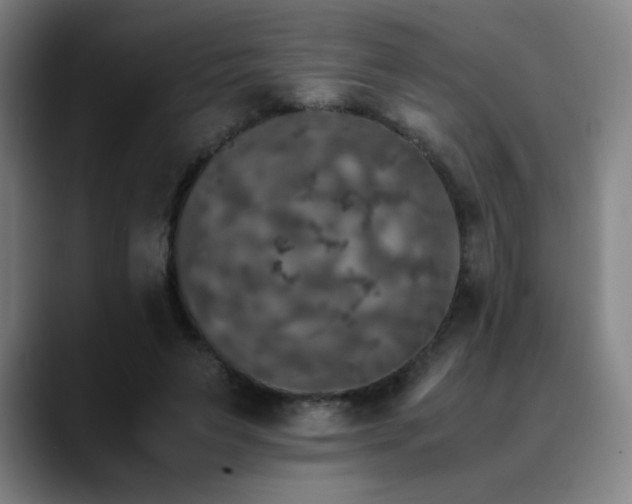 X0000090620495200707171438