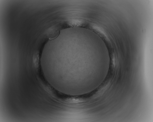 X0000090620498200707171438