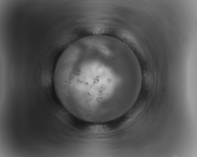 X0000090620499200707171438