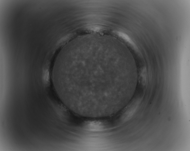 X0000090620500200707171438