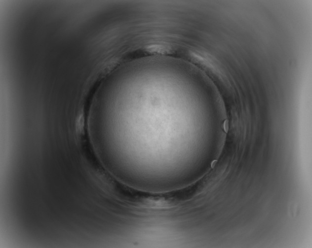 X0000090620502200707171438