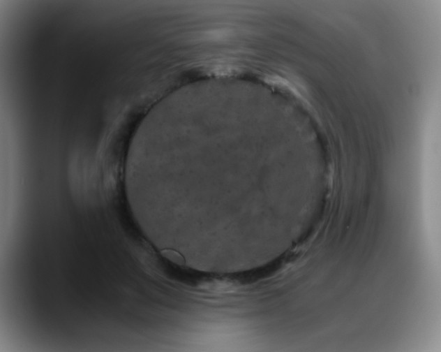 X0000090620503200707171438