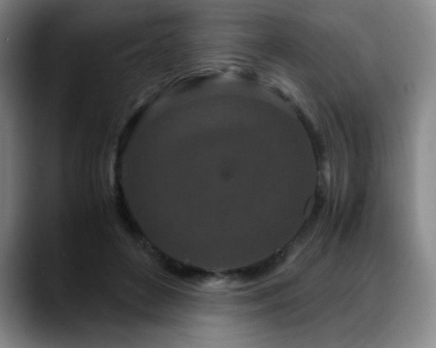 X0000090620504200707171438
