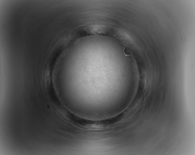 X0000090620506200707171438