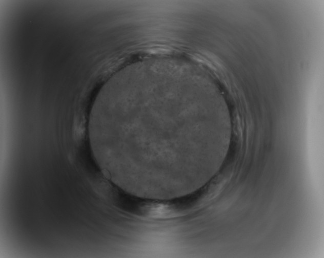 X0000090620507200707171438