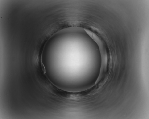 X0000090620508200707171438
