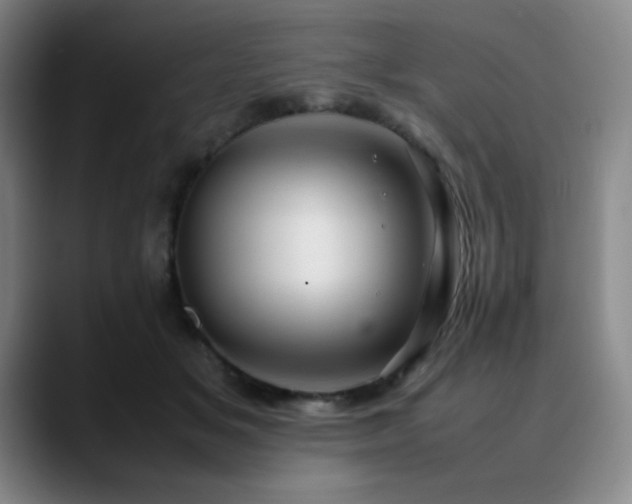 X0000090620509200707171438