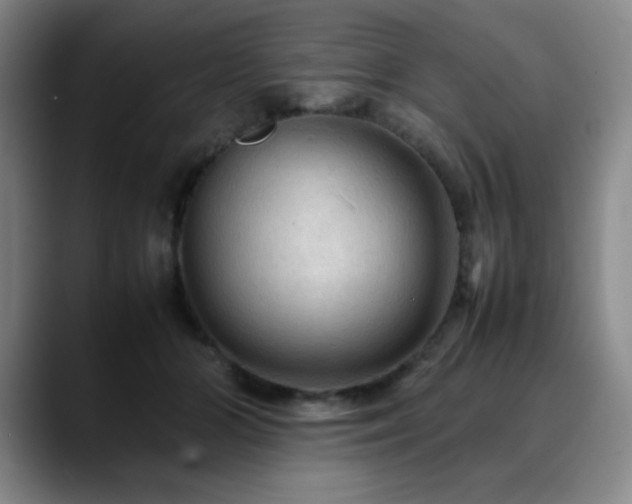 X0000090620510200707171437