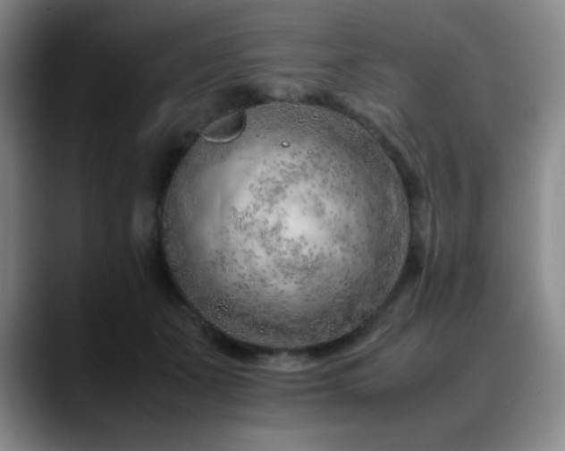 X0000090620511200707171437