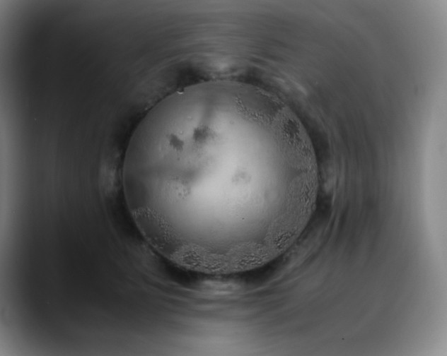 X0000090620515200707171437