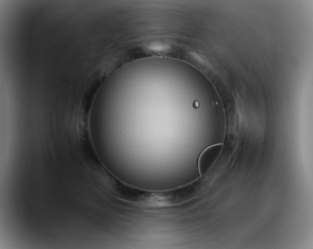 X0000090620518200707171437
