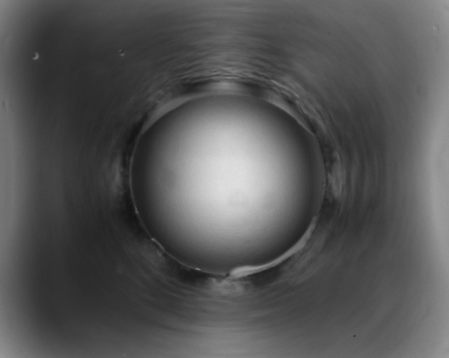 X0000090620520200707171437