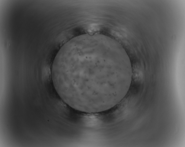 X0000090620523200707171437