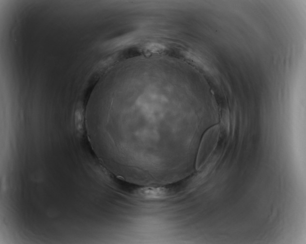 X0000090620526200707171437