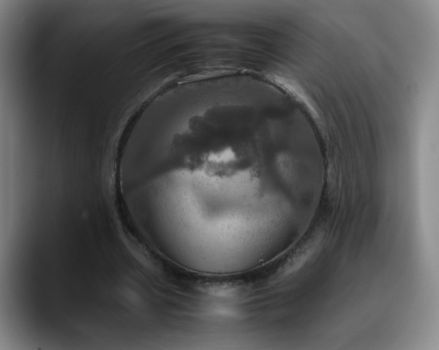 X0000090620533200707171437