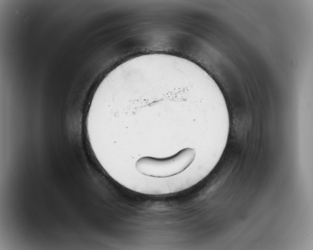 X0000090620534200707171437