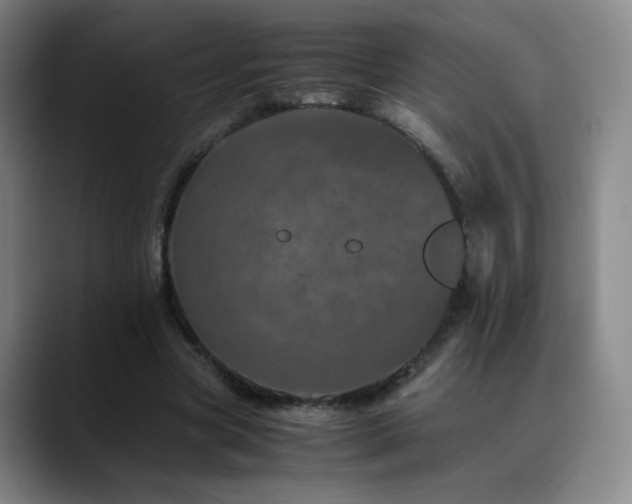 X0000090620537200707171437