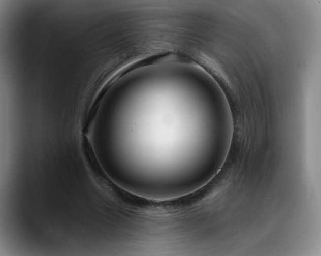 X0000090620538200707171437