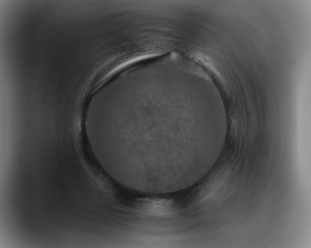 X0000090620539200707171437