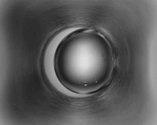 X0000090620540200707171437