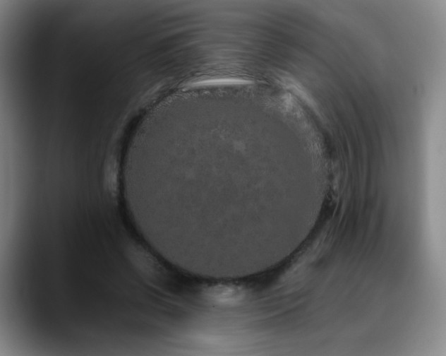 X0000090620542200707171437