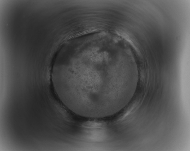 X0000090620545200707171437