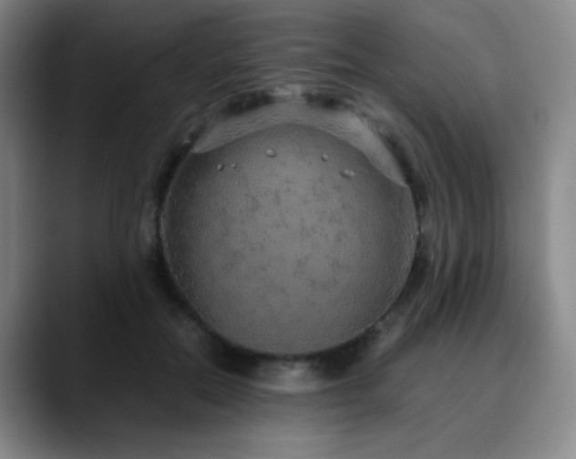 X0000090620554200707171437