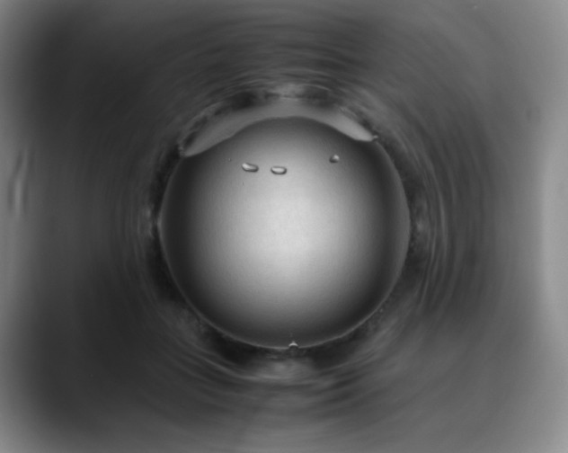 X0000090620555200707171437