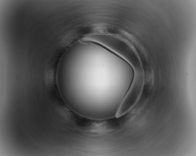 X0000090620560200707171437