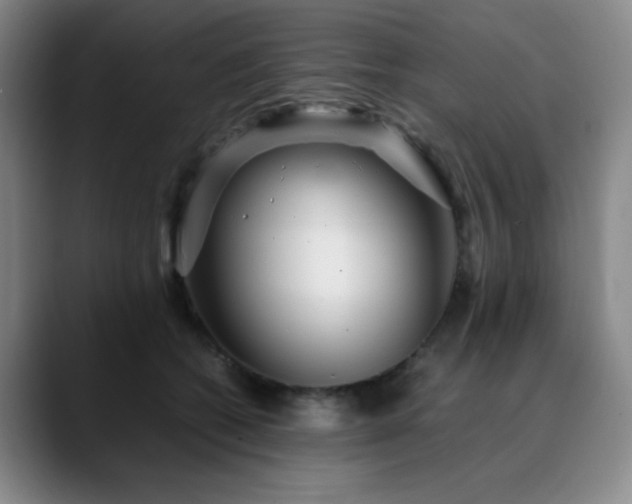 X0000090620562200707171437