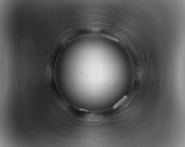 X0000090620568200707171437