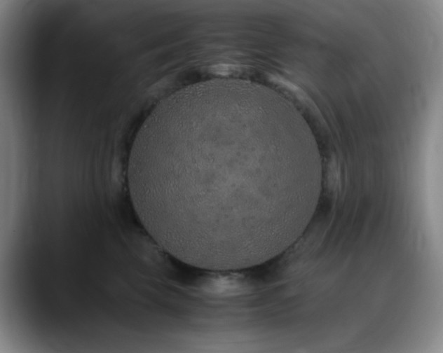 X0000090620569200707171437