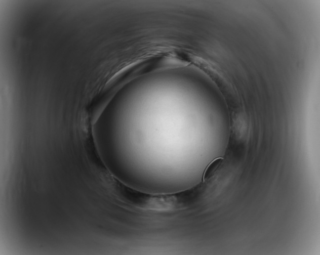 X0000090620571200707171437