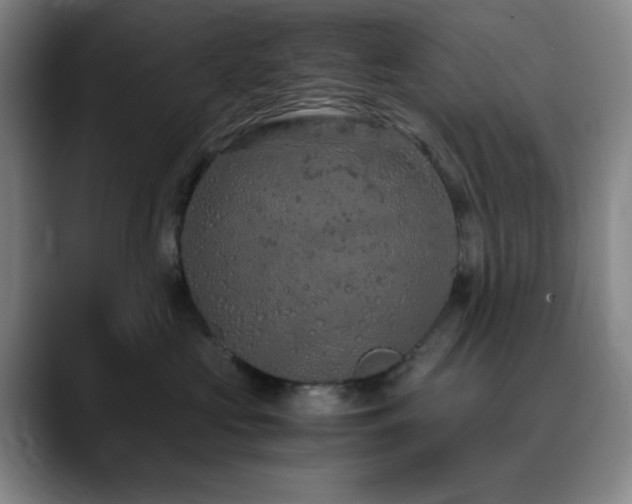 X0000090620573200707171437