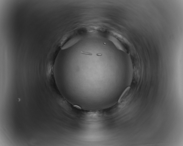 X0000090620574200707171437