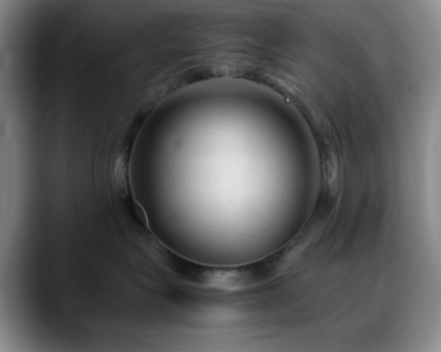 X0000090620575200707171437