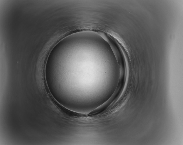 X0000090620577200707171437