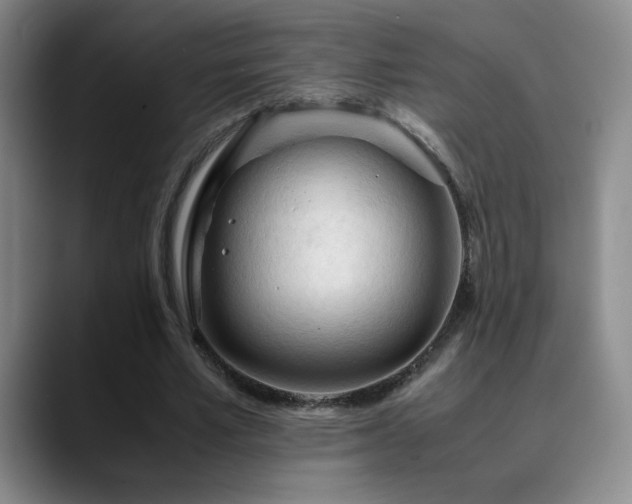 X0000090620581200707171437