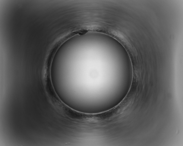 X0000090620583200707171437