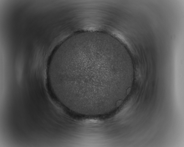 X0000090620586200707171437