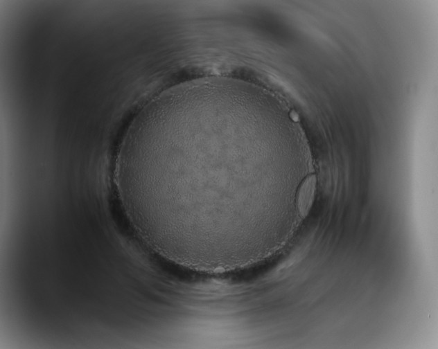X0000090620594200707171437