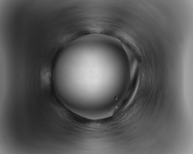 X0000090620596200707171436