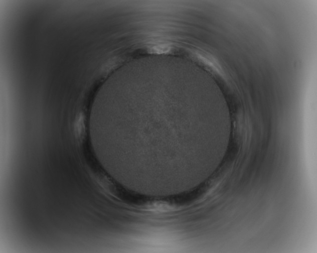 X0000090620598200707171436