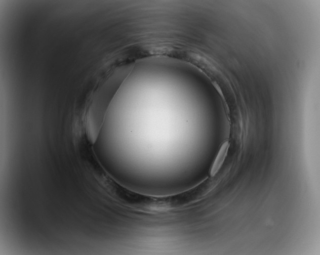 X0000090620604200707171436