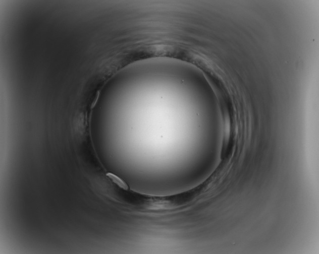 X0000090620605200707171436