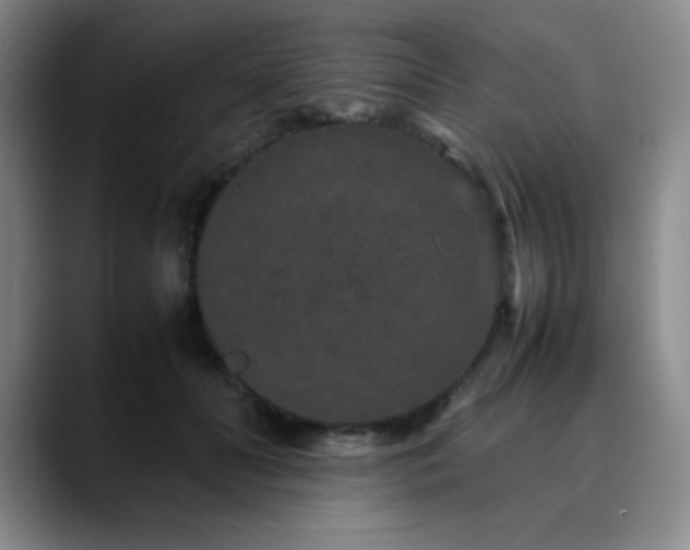 X0000090620606200707171436