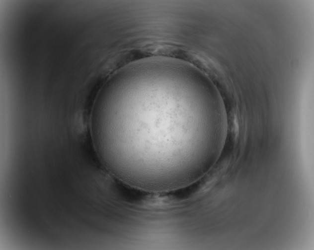 X0000090620607200707171436