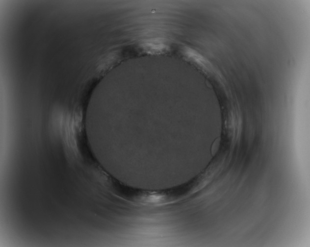 X0000090620610200707171436